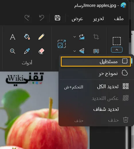 اداة التحديد المستطيلة في الرسام ويندوز 11